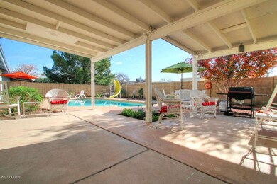 031 Backyard 1