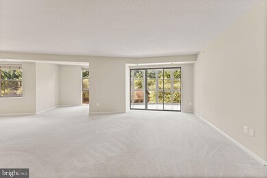 The Magnolias at Lansdowne Woods unit 202, Leesburg, VA 20176 - photo 6