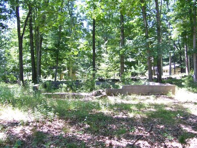 13 1st St, Paupack Township, PA 18428 - photo 7