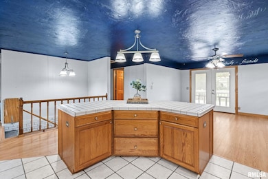 1527 11th St, de Witt, IA 52742 - photo 6