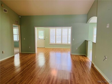 Beautiful Voluminous Great Room with Cathedral Cei