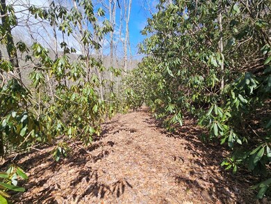 Lot 16 Warrior Way, Andrews, NC 28901 - photo 7