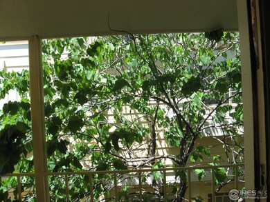 view looking out