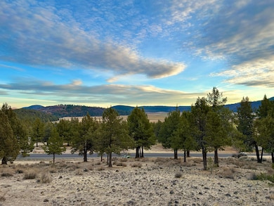 0 Murrelet unit Lot 1192 220174096, Klamath Falls, OR 97601 - photo 5