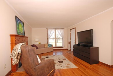 Living Room - Family Room