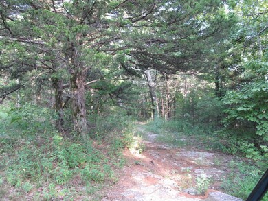 IMG_1353 (Large)