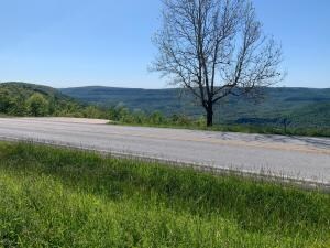 IMG_2810 (1)
