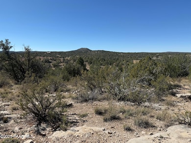 33367 Hora Ln, Seligman, AZ 86337 - photo 3