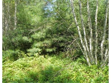 Land/Lot.