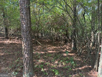 LT 5 Morton Bend Rd, Rome, GA 30161 - photo 4
