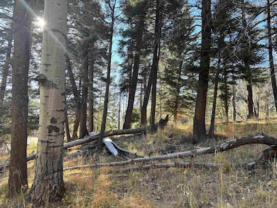 Lot 1490 Royal Ave, Angel Fire, NM 87710 - photo 2