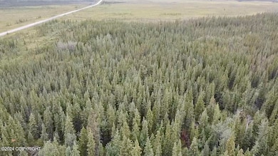 1327.6 B5 Alaska Hwy, Tok, AK 99780 - photo 2