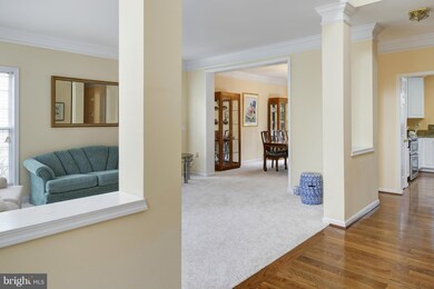 46428 Springwood Ct, Sterling, VA 20165 - photo 5