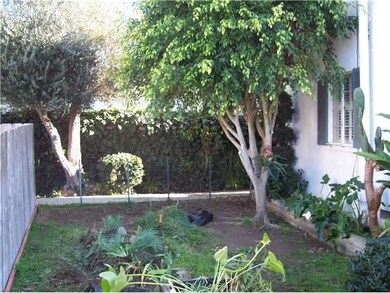 Back yard of front house.