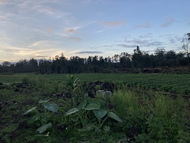 PREPPED FIELDS AWAIT THE NEW OWNER TO TAKE ADVANTAGE OF THIS INCREDIBLE OPPORTUNITY!