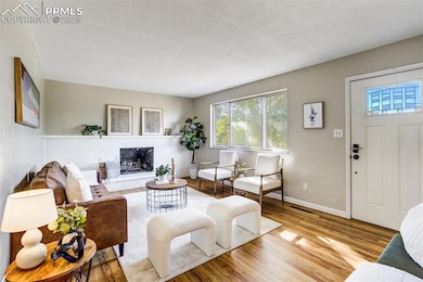 Wood burning fireplace