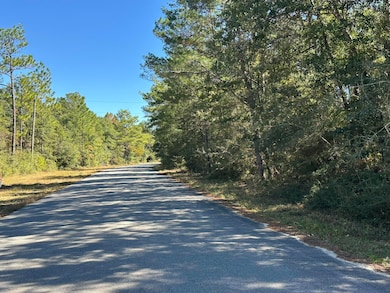Parcel A Bear Head Rd, Crestview, FL 32539 - photo 3