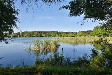 4420 Wando Farms Rd, Awendaw, SC 29429 - photo 4