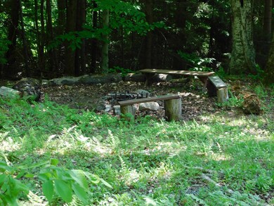 193 Chimney Hill Rd, Wilmington, VT 05363 - photo 6