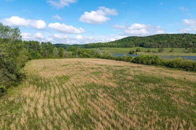 0 C B Johnson Rd, Walling, TN 38587 - photo 4