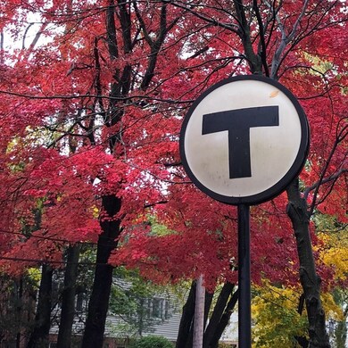 133 Beaconsfield Rd unit 24, Brookline, MA 02445 - photo 2