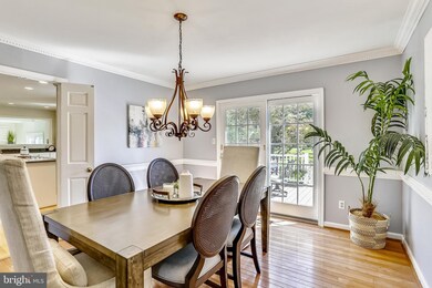 12301 Coppola Dr, Potomac, MD 20854 - photo 6