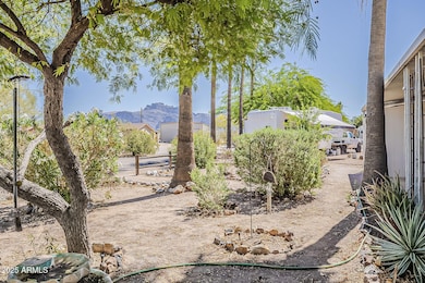 6-web-or-mls-Cortez-6