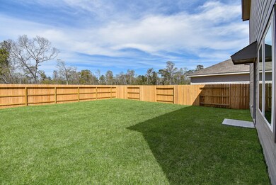 Spacious backyard to play and
relax, kick around