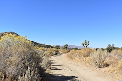 8100 Weber Ranch Rd, Palmdale, CA 93550 - photo 3