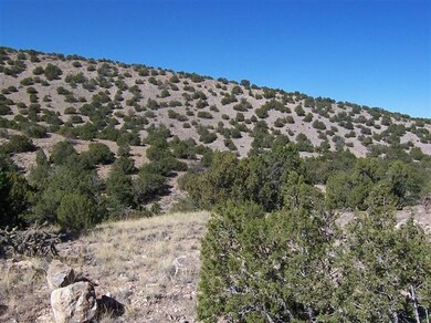 0 Camino Del Oso, Placitas, NM 87043 - photo 4