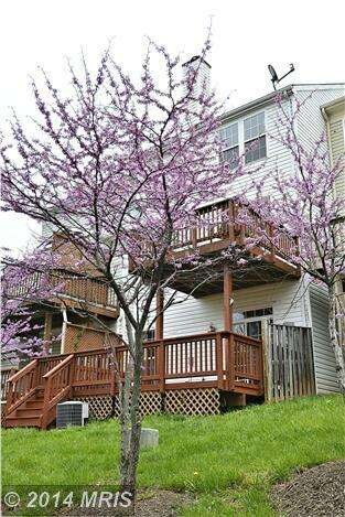 20441 Doncaster Terrace, Sterling, VA 20165 - photo 3