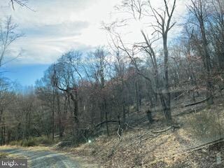 Tract B Ewing Dr, Baker, WV 26801 - photo 2