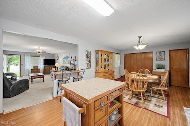 40725 Biggs Rd, Lagrange, OH 44050 - photo 7