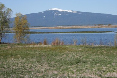 Copy (2) of IMG_0591