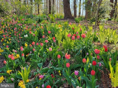 20830 Peach Tree Rd, Dickerson, MD 20842 - photo 5