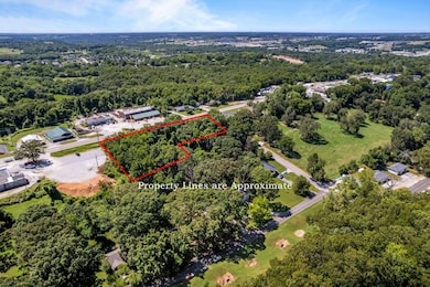 000 S 3rd St, Ozark, MO 65721 - photo 2