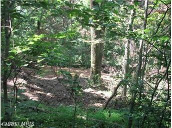 518 Bragg Dr, Front Royal, VA 22630 - photo 4