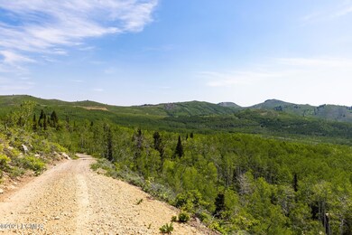 2503 Way Spruce Midway UT 84049 USA-005-