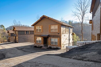 3031 Ridge Top Resort Way, Pigeon Forge, TN 37863 - photo 2
