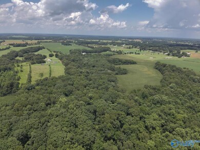49.59 +/- Acres Snake Rd, Athens, AL 35611 - photo 4