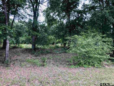 15595 Vantage View Dr, Tyler, TX 75707 - photo 6