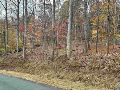 355 Stone Chimneys Rd unit 26, Nellysford, VA 22958 - photo 7