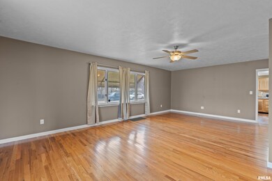 1502 Delavan St, Lincoln, IL 62656 - photo 7