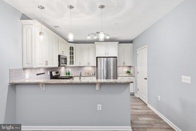 41900 Metamorphic Square unit 203, Aldie, VA 20105 - photo 7