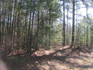 tract B Hwy 341 unit B, Forsyth, GA 31029 - photo 4