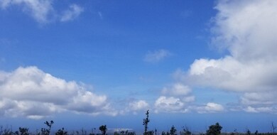 View of ocean & coastline from lowest corner of parcel