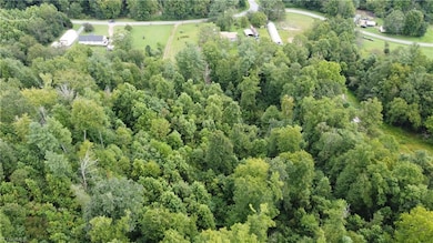 TBD Eagle Hills Rd unit Eagle Hills, Purlear, NC 28665 - photo 7