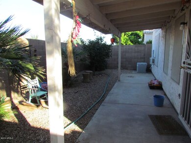 back yard