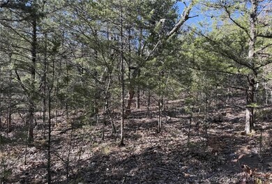 11.8 Acres Whitetail Way, Cole Township, MO 65338 - photo 2