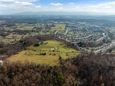 Tbd Skyline Rd, Jonesborough, TN 37659 - photo 6